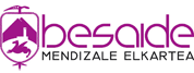 Logo Besaide